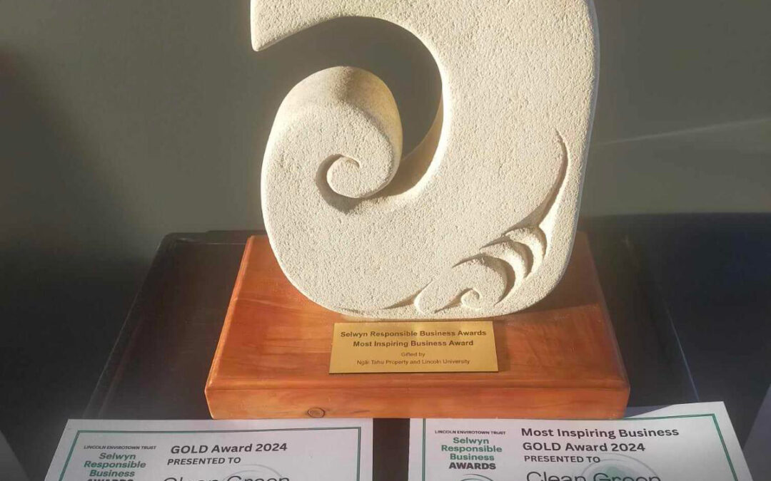 Selwyn Responsible Business Awards 2024